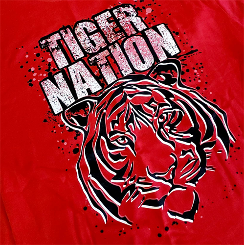 Tiger Nation logo